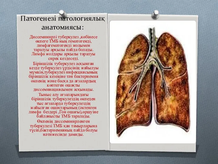 Патогенезі патологиялық анатомиясы: Диссеминирлі туберкулез ,көбінесе өкпеге ТМБ ның гематогенді,лимфагематогенді