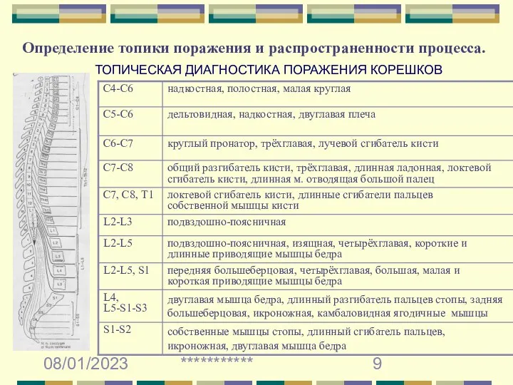 08/01/2023 *********** Определение топики поражения и распространенности процесса. ТОПИЧЕСКАЯ ДИАГНОСТИКА ПОРАЖЕНИЯ КОРЕШКОВ