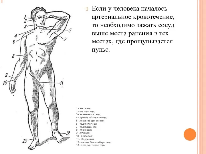 Если у человека началось артериальное кровотечение, то необходимо зажать сосуд