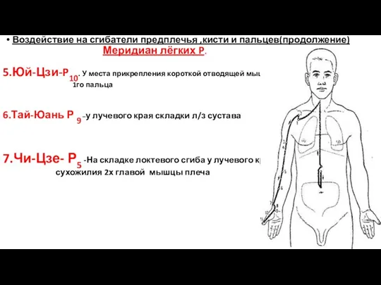 Воздействие на сгибатели предплечья ,кисти и пальцев(продолжение) Меридиан лёгких P. 5.Юй-Цзи-P10. У места