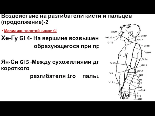 Воздействие на разгибатели кисти и пальцев (продолжение)-2 Меридиан толстой кишки Gi Хе-Гу Gi