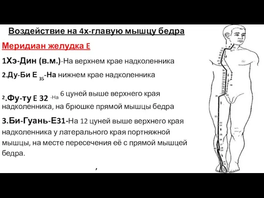 Воздействие на 4х-главую мышцу бедра Меридиан желудка E 1Хэ-Дин (в.м.)-На верхнем крае надколенника