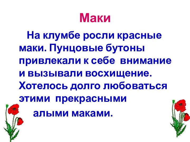 Маки На клумбе росли красные маки. Пунцовые бутоны привлекали к