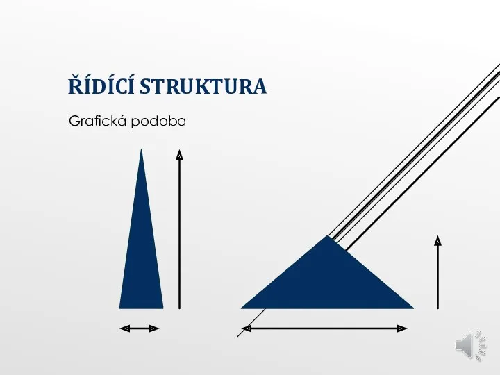 ŘÍDÍCÍ STRUKTURA Grafická podoba