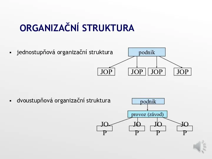 ORGANIZAČNÍ STRUKTURA jednostupňová organizační struktura dvoustupňová organizační struktura