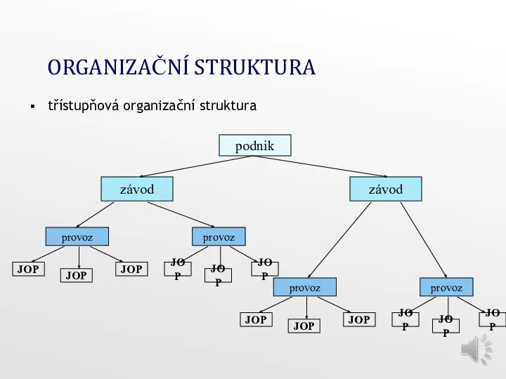 ORGANIZAČNÍ STRUKTURA třístupňová organizační struktura