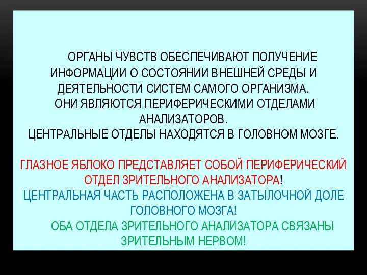 ОРГАНЫ ЧУВСТВ ОБЕСПЕЧИВАЮТ ПОЛУЧЕНИЕ ИНФОРМАЦИИ О СОСТОЯНИИ ВНЕШНЕЙ СРЕДЫ И