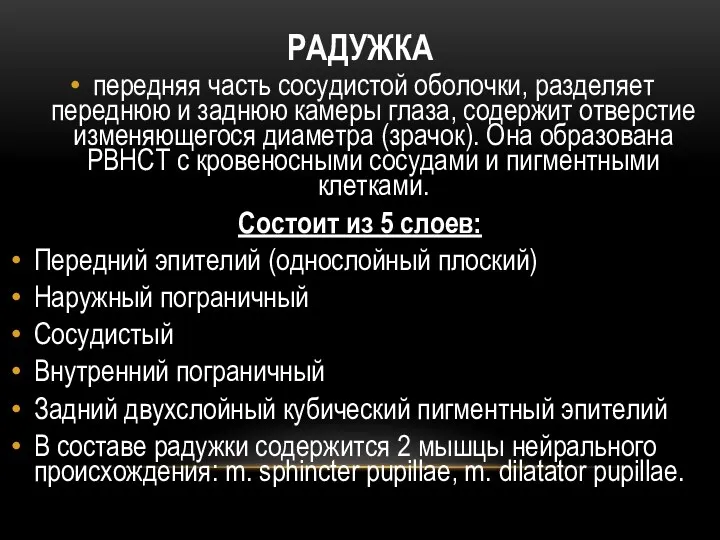 РАДУЖКА передняя часть сосудистой оболочки, разделяет переднюю и заднюю камеры