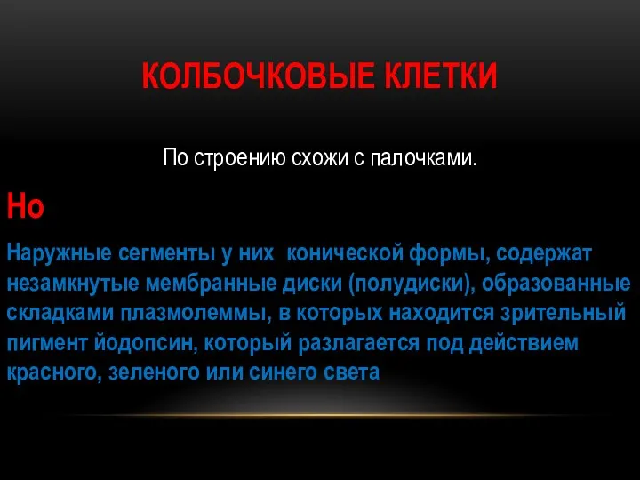 КОЛБОЧКОВЫЕ КЛЕТКИ По строению схожи с палочками. Но Наружные сегменты