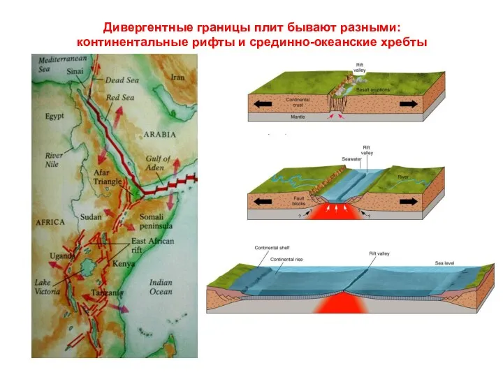 Дивергентные границы плит бывают разными: континентальные рифты и срединно-океанские хребты