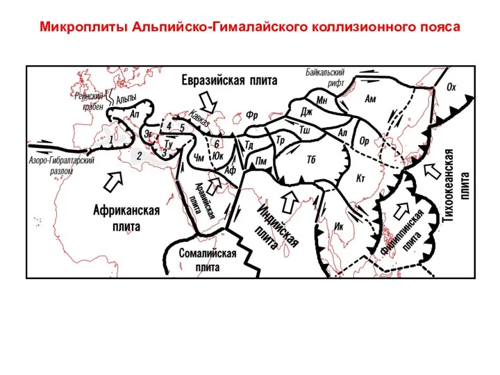 Микроплиты Альпийско-Гималайского коллизионного пояса