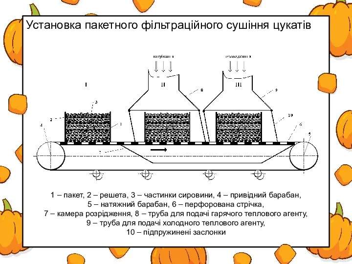 Установка пакетного фільтраційного сушіння цукатів 1 – пакет, 2 –