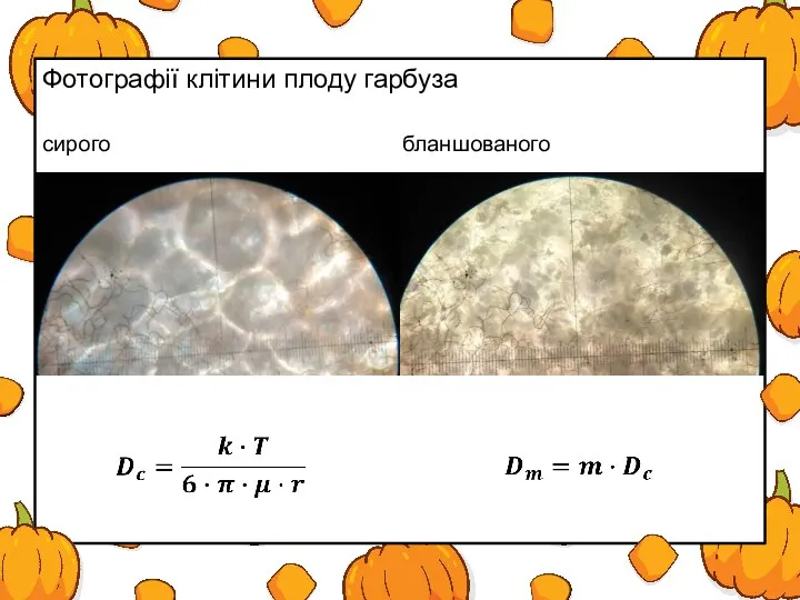 Фотографії клітини плоду гарбуза сирого бланшованого