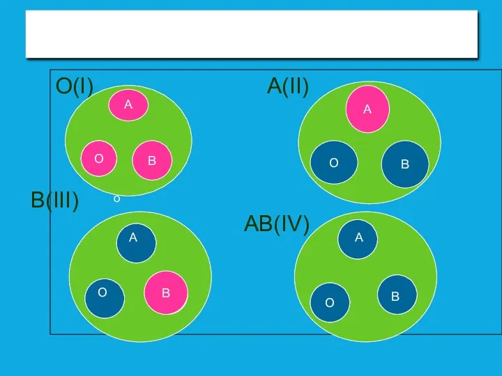 Рисунки определения групп крови O(I) A(II) B(III) AB(IV) O O B A A