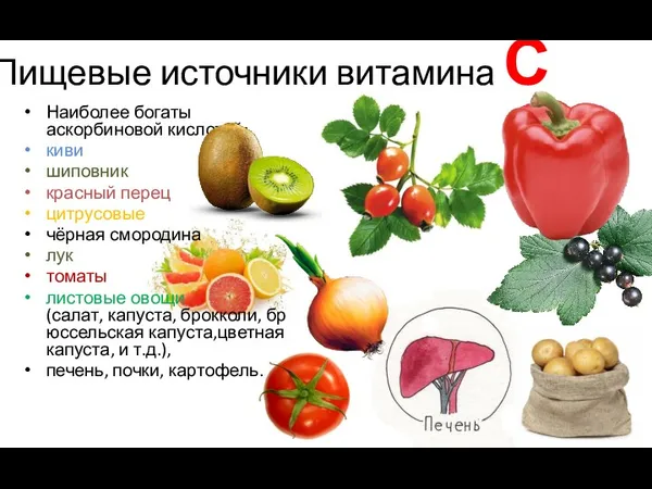 Пищевые источники витамина С Наиболее богаты аскорбиновой кислотой: киви шиповник