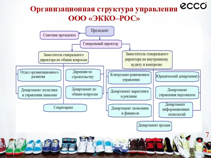 Организационная структура управления ООО «ЭККО–РОС»