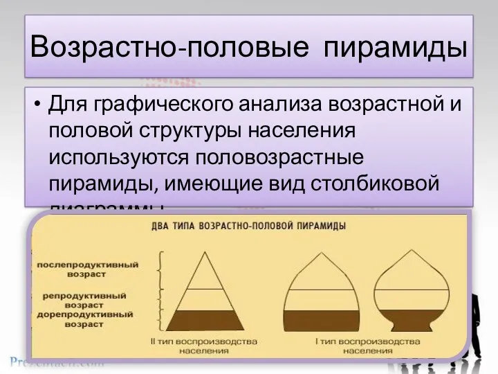 Возрастно-половые пирамиды Для графического анализа возрастной и половой структуры населения
