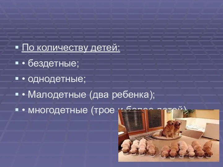 По количеству детей: • бездетные; • однодетные; • Малодетные (два