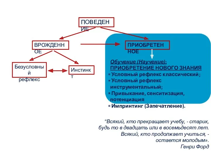 ПОВЕДЕНИЕ ВРОЖДЕННОЕ ПРИОБРЕТЕННОЕ Безусловный рефлекс Инстинкт Обучение (Научение): ПРИОБРЕТЕНИЕ НОВОГО