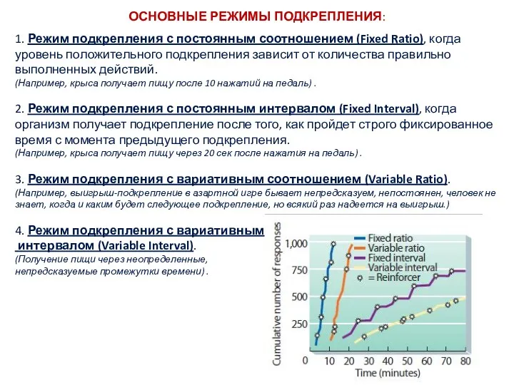 ОСНОВНЫЕ РЕЖИМЫ ПОДКРЕПЛЕНИЯ: 1. Режим подкрепления с постоянным соотношением (Fixed