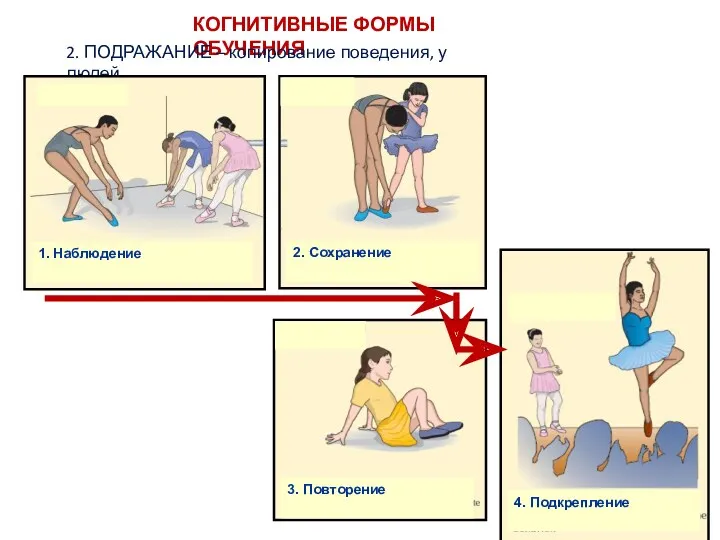 КОГНИТИВНЫЕ ФОРМЫ ОБУЧЕНИЯ 2. ПОДРАЖАНИЕ – копирование поведения, у людей