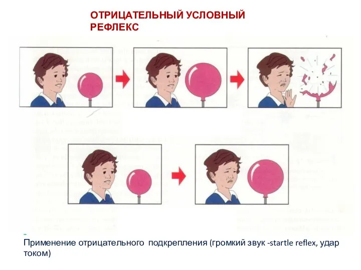 ОТРИЦАТЕЛЬНЫЙ УСЛОВНЫЙ РЕФЛЕКС Применение отрицательного подкрепления (громкий звук -startle reflex, удар током)