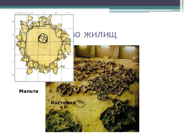 Строительство жилищ Мальта Костенки