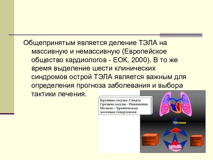 Общепринятым является деление ТЭЛА на массивную и немассивную (Европейское общество кардиологов - ЕОК,