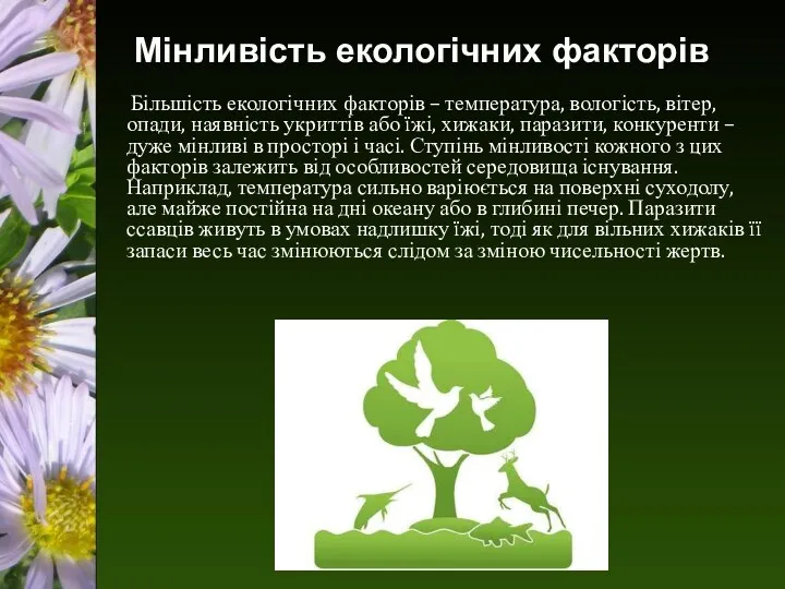 Мінливість екологічних факторів Більшість екологічних факторів – температура, вологість, вітер,