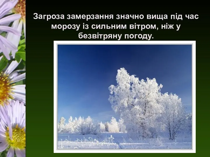 Загроза замерзання значно вища під час морозу із сильним вітром, ніж у безвітряну погоду.