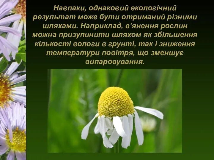 Навпаки, однаковий екологічний результат може бути отриманий різними шляхами. Наприклад,