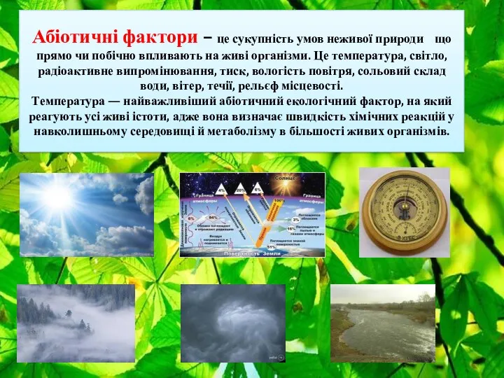 Абіотичні фактори – це сукупність умов неживої природи що прямо