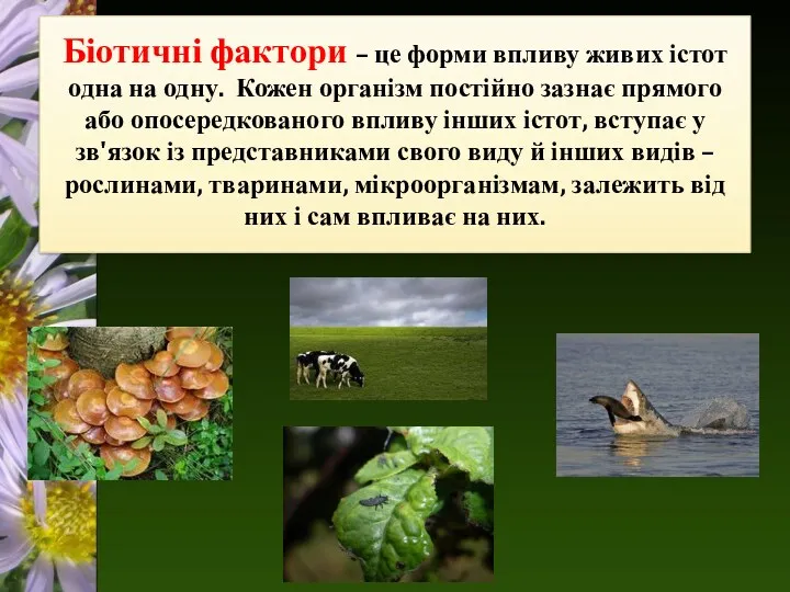 Біотичні фактори – це форми впливу живих істот одна на