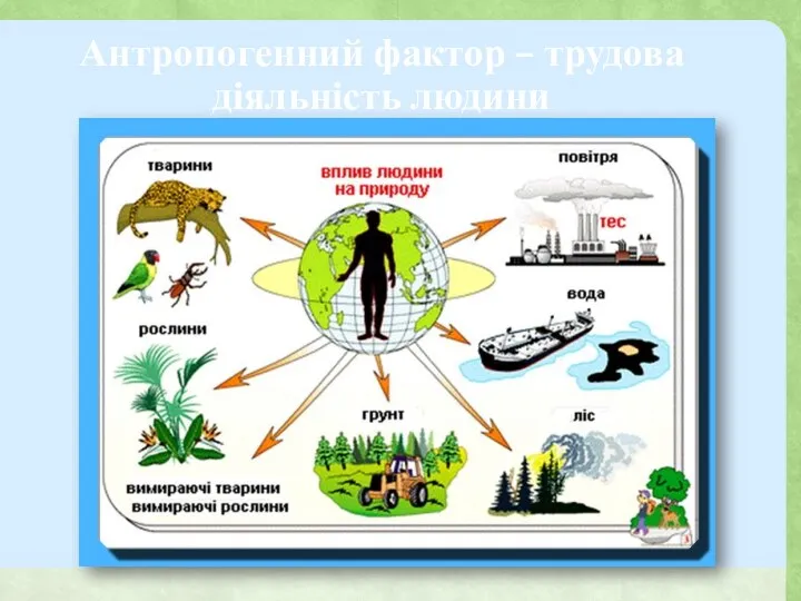 Антропогенний фактор – трудова діяльність людини