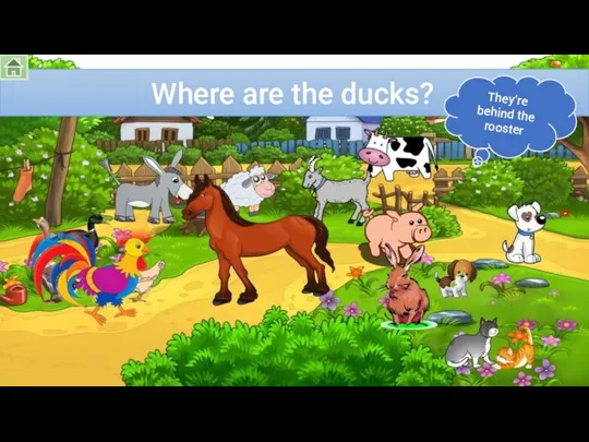 Where are the ducks? They’re behind the rooster