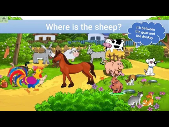 Where is the sheep? It’s between the goat and the donkey