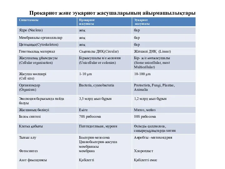 Прокариот және эукариот жасушаларының айырмашылықтары