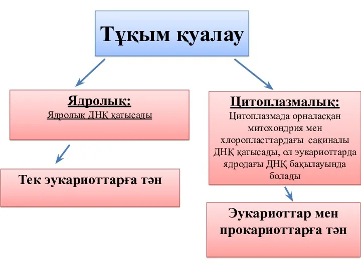 Тұқым қуалау Ядролық: Ядролық ДНҚ қатысады Цитоплазмалық: Цитоплазмада орналасқан митохондрия