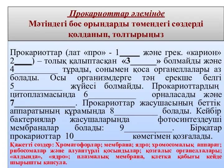 Прокариоттар (лат «про» - 1 және грек. «карион» 2____) –