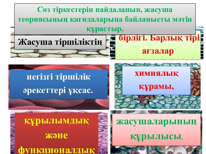 Жасуша тіршіліктің негізгі тіршілік әрекеттері ұқсас.. құрылымдық және функционалдық бірлігі.