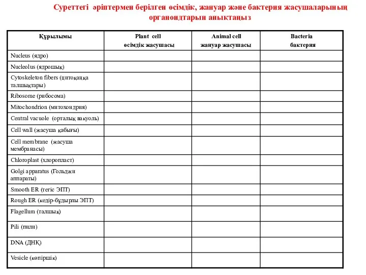 Суреттегі әріптермен берілген өсімдік, жануар және бактерия жасушаларының органоидтарын анықтаңыз