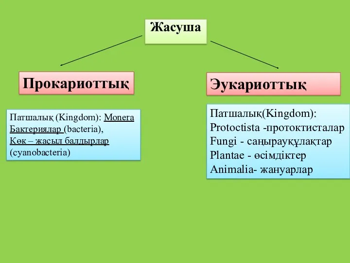 Жасуша Прокариоттық Эукариоттық Патшалық (Kingdom): Monera Бактериялар (bacteria), Көк –