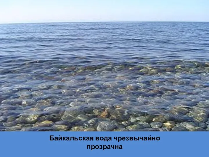 Байкальская вода чрезвычайно прозрачна