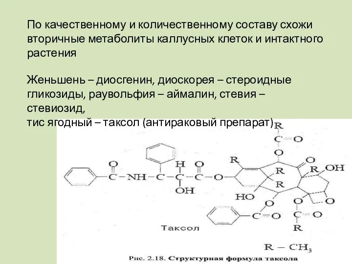 По качественному и количественному составу схожи вторичные метаболиты каллусных клеток и интактного растения