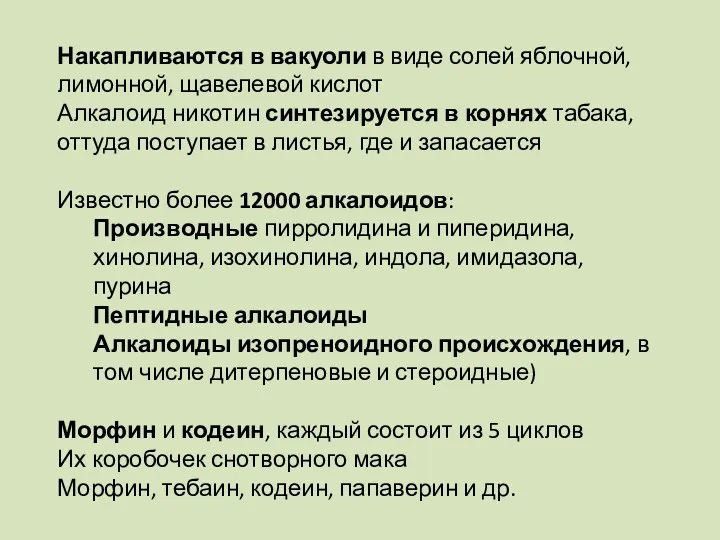 Накапливаются в вакуоли в виде солей яблочной, лимонной, щавелевой кислот Алкалоид никотин синтезируется