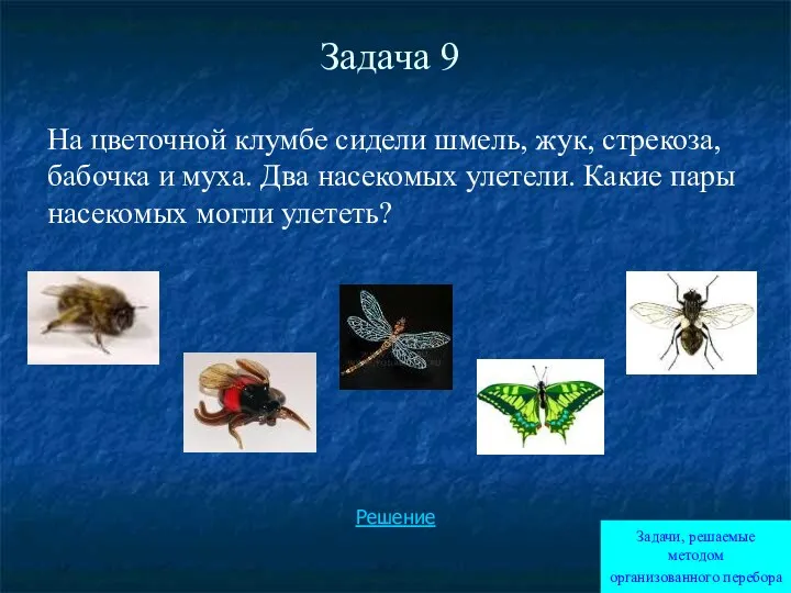 Задача 9 На цветочной клумбе сидели шмель, жук, стрекоза, бабочка