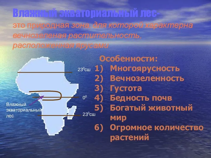 Влажный экваториальный лес- это природная зона, для которой характерна вечнозеленая