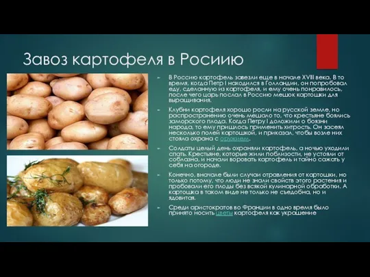Завоз картофеля в Росиию В Россию картофель завезли еще в