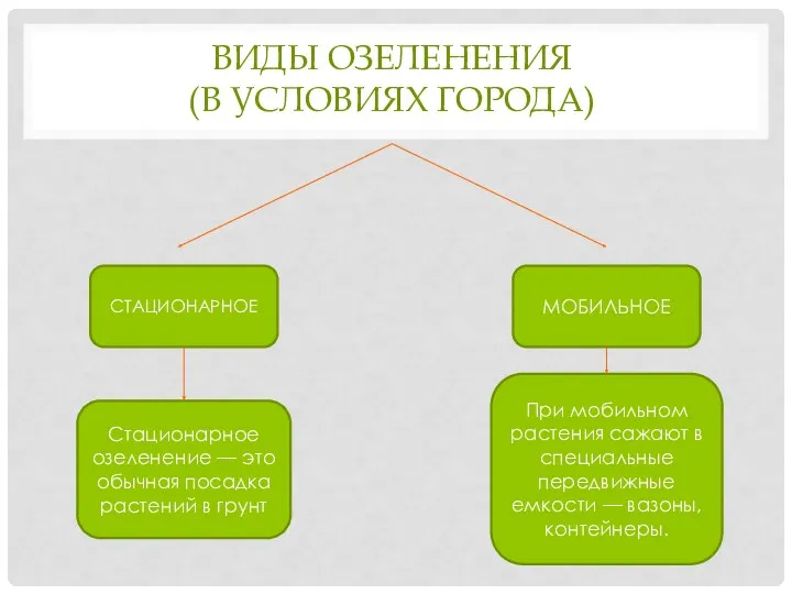 ВИДЫ ОЗЕЛЕНЕНИЯ (В УСЛОВИЯХ ГОРОДА) СТАЦИОНАРНОЕ МОБИЛЬНОЕ Стационарное озеленение —