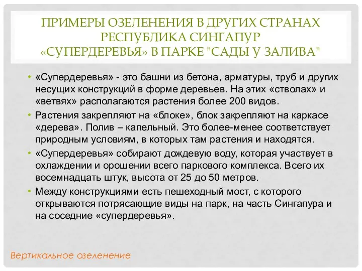 ПРИМЕРЫ ОЗЕЛЕНЕНИЯ В ДРУГИХ СТРАНАХ РЕСПУБЛИКА СИНГАПУР «СУПЕРДЕРЕВЬЯ» В ПАРКЕ